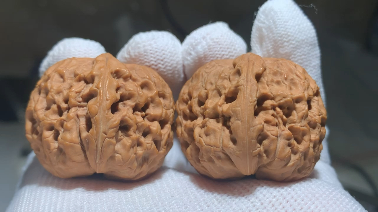 文玩核桃#野生大团圆狮子头,天然矮桩,手感圆润,皮质特别棒.