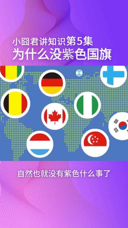 小囧君讲知识第5集:为什么没有紫色国旗呢