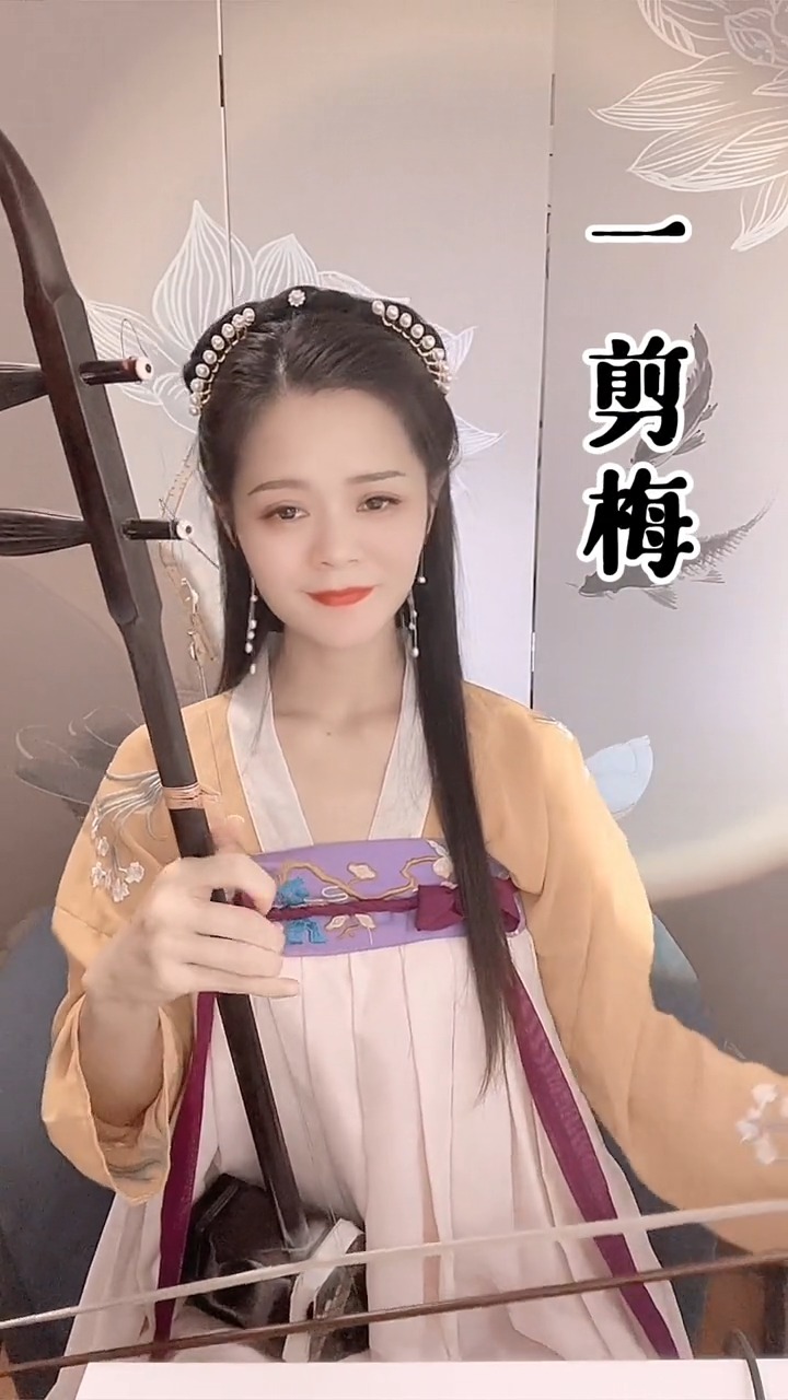 古典中国风国风古韵民乐艺术欣赏二胡独奏一剪梅传承弘扬民乐文化