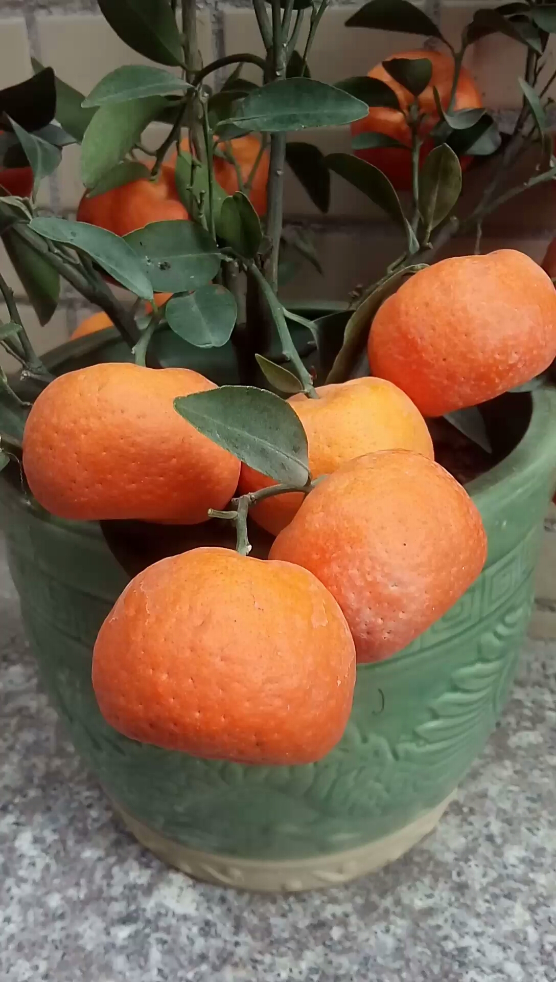 现在的保养剂太猛,让这春桔这模样