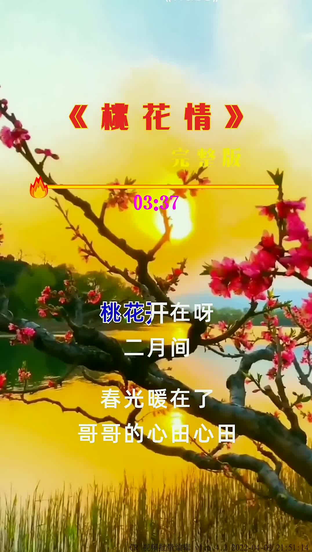 灵丽一首甜歌《桃花情》,句句柔情蜜意,歌声明亮醉人-度小视