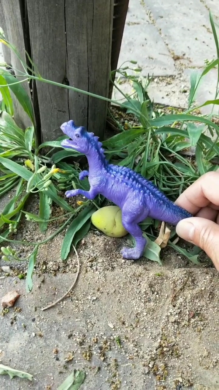 恐龙生了一个蛋宝宝