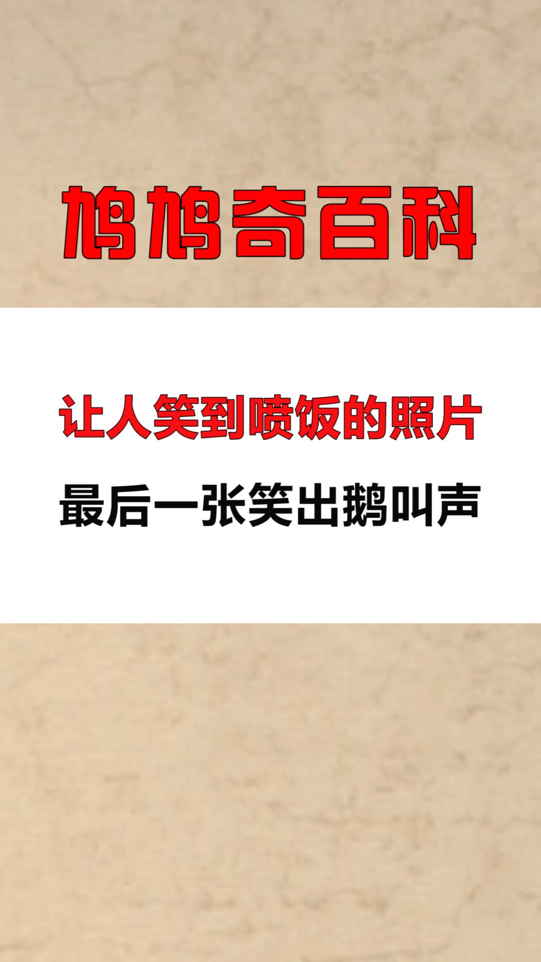每天一点冷知识让人笑到喷饭的照片最后一张笑出鹅叫声