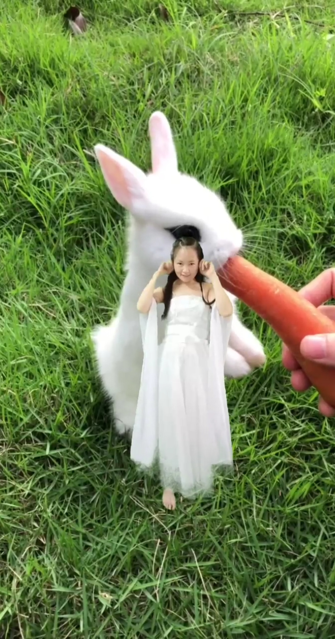 小兔子精真可爱,昨天晚上抽时间做了十几秒视频我做了几个小时,视频里