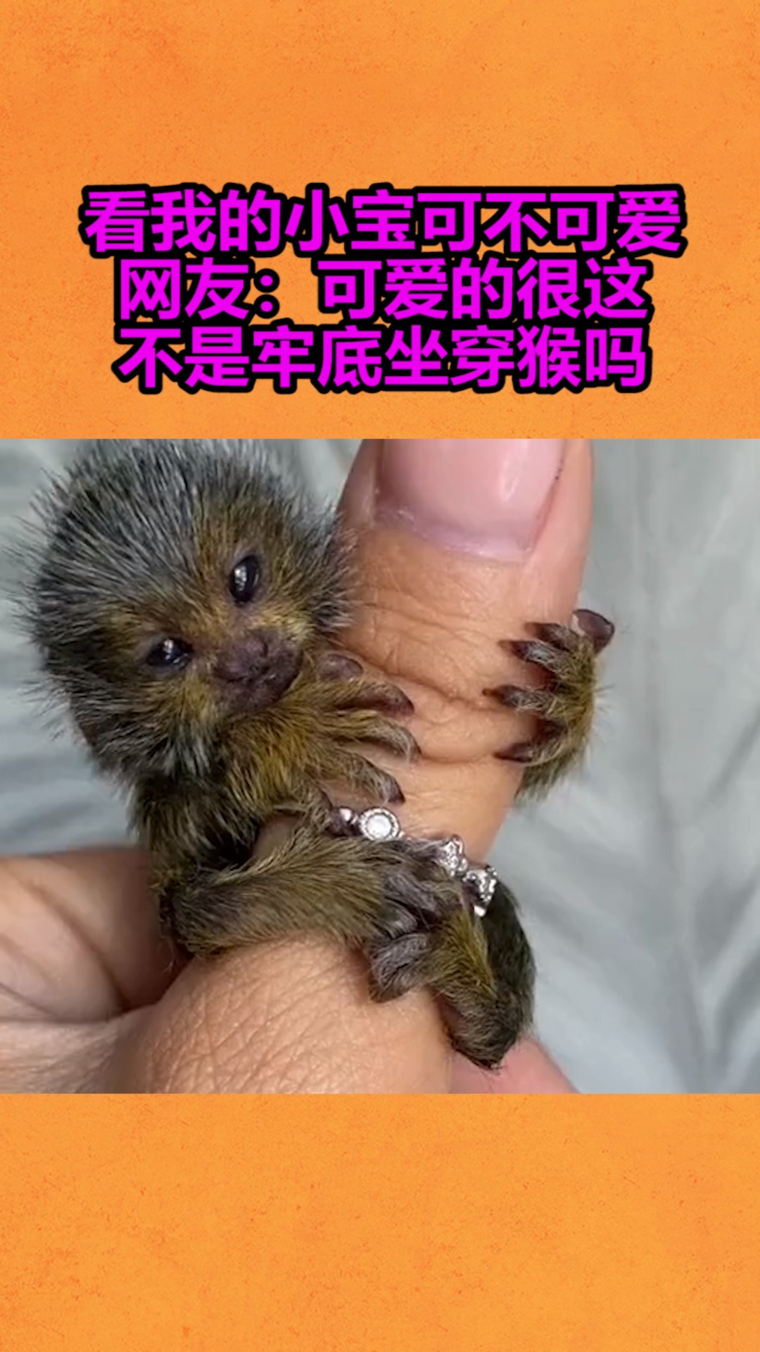 我要上热门看我的小宝可不可爱网友可爱的很这不是牢底坐穿猴吗