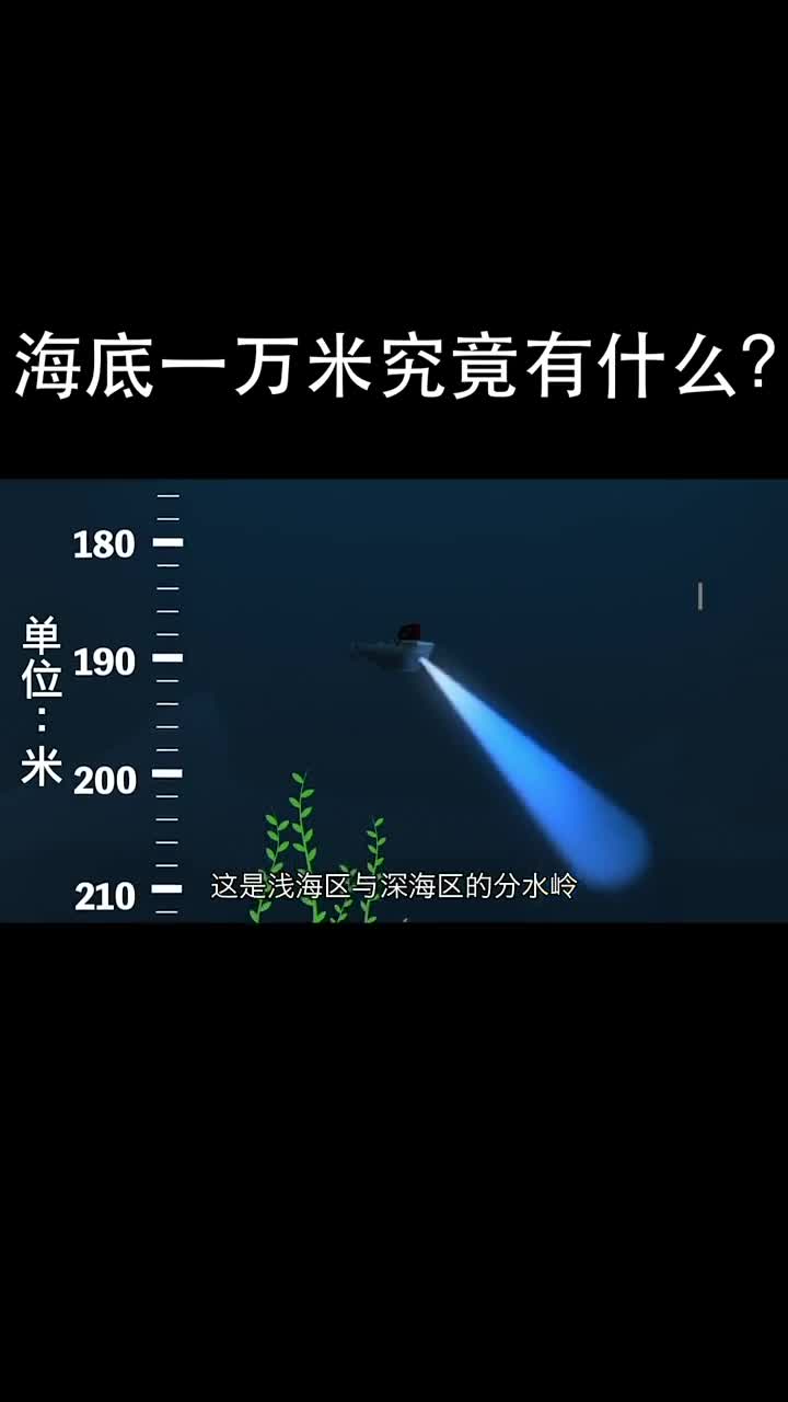 走進海底10000米的最深處,深海恐懼症能看到第幾層?(中篇)