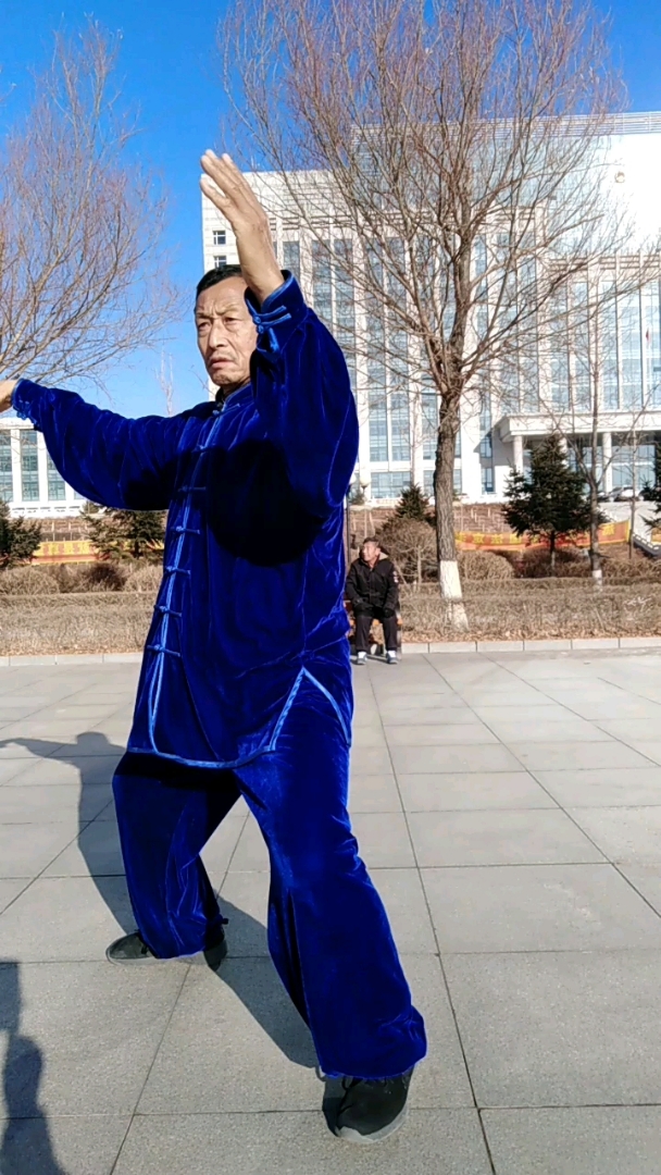 吴式,83式太极拳