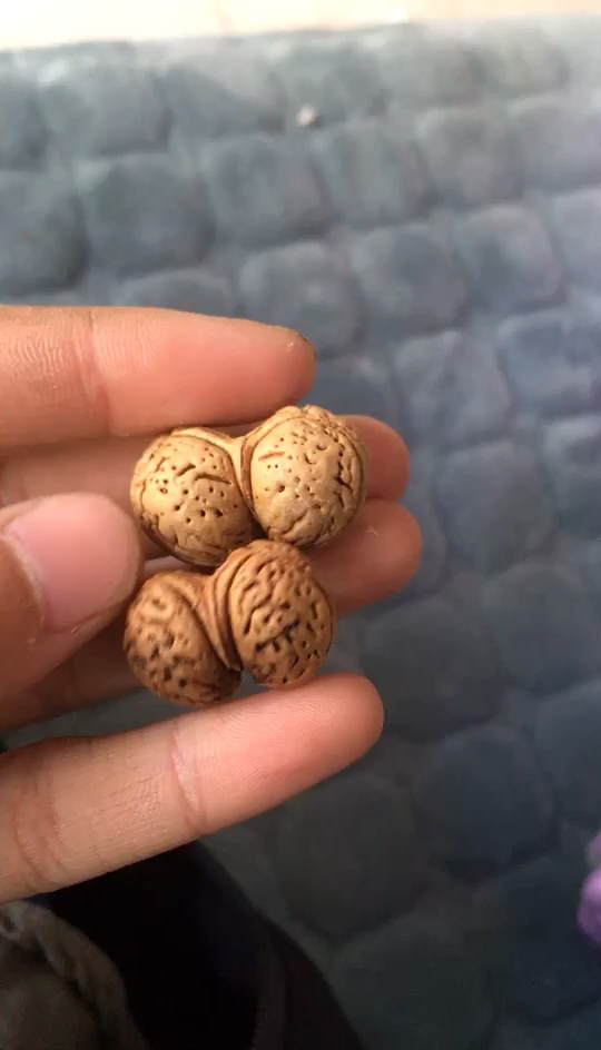 两个野生的连体桃核,做吊坠很漂亮