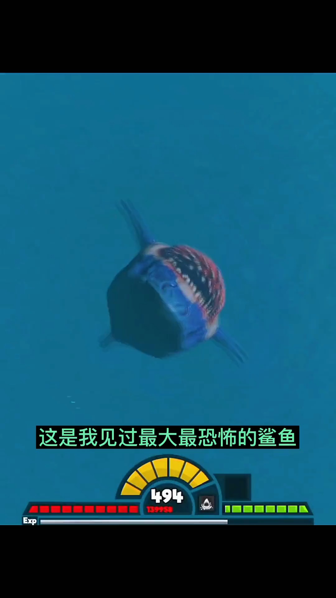 单机游戏海底大猎杀史上最大巨齿鲨