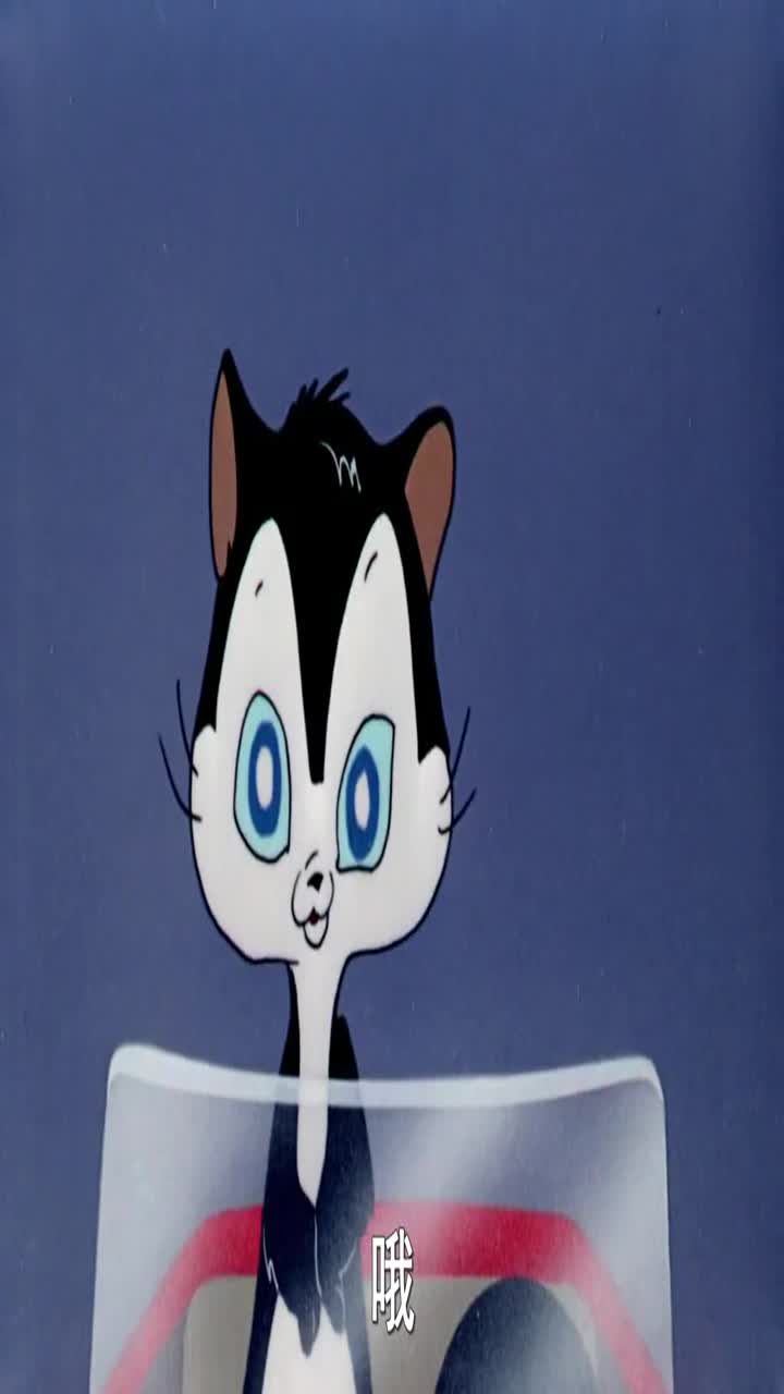 兔八哥:大狗为不让主人发现奶猫,竟把他伪装成了粉扑