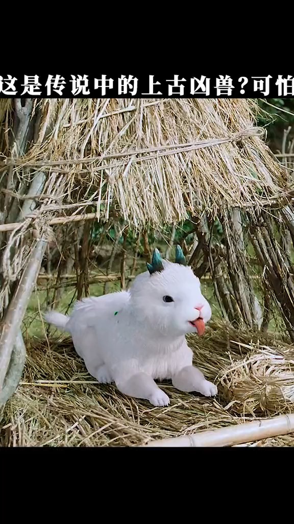 白泽长什么样子图片