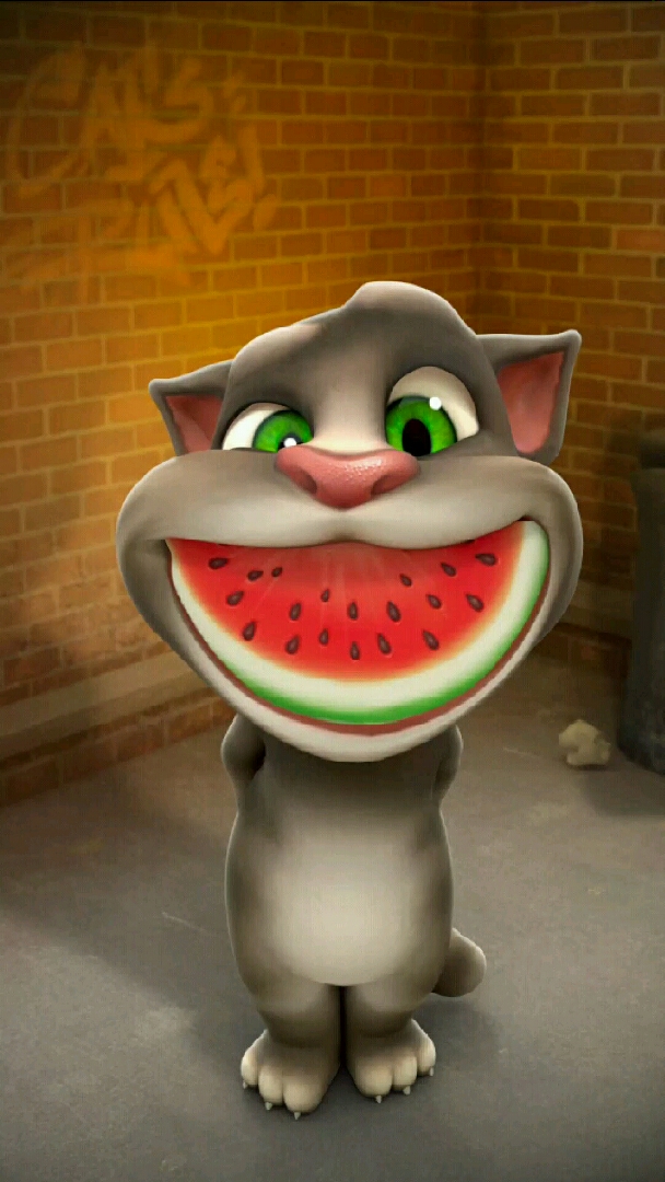 全民双十一津贴#可爱的汤姆猫吃西瓜