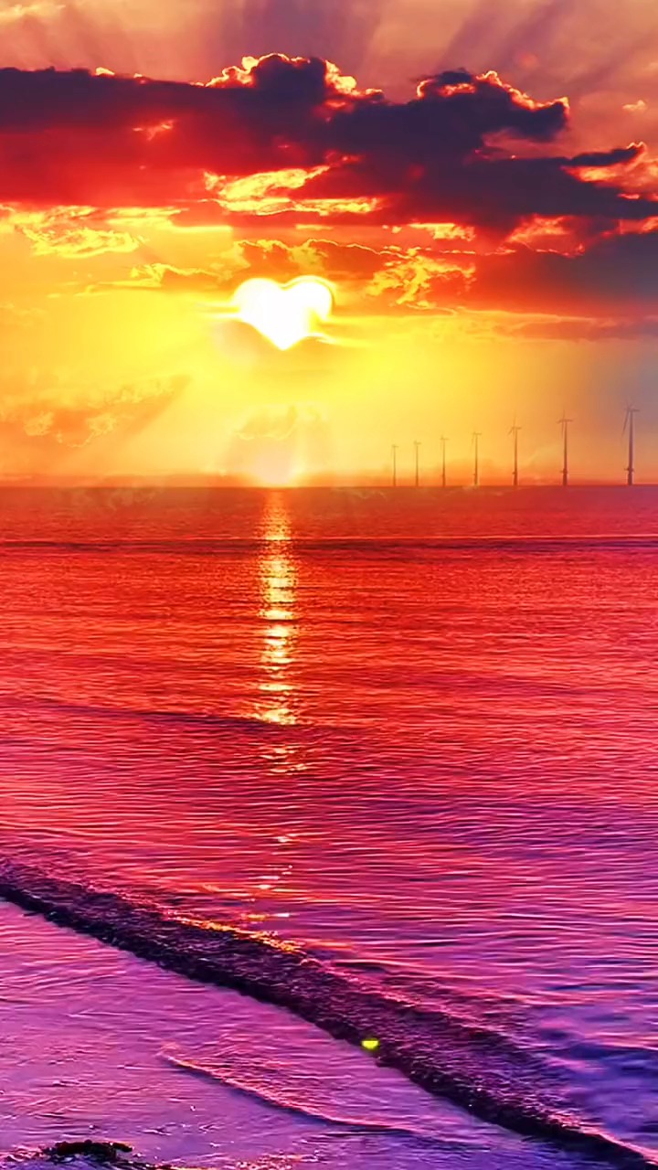 无人催你起晨曦,无人候你共黄昏,空有人间自由身,却非人间自由人