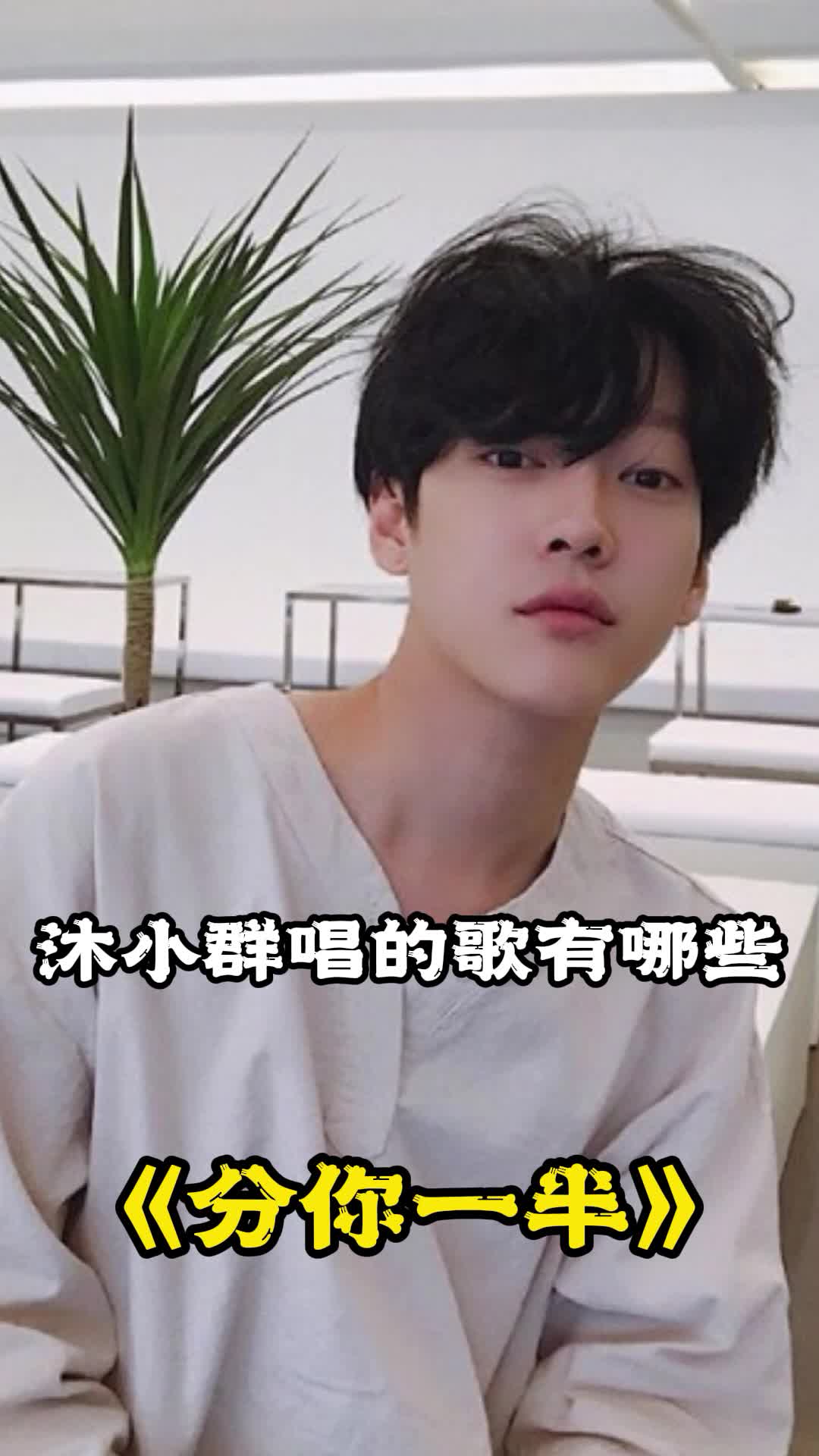 歌曲分你一半词曲入心分享给大家