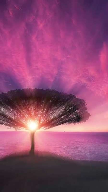 三天的坚持终于等到了,今天的日出很美,与你一起欣赏这美景,愿你都有