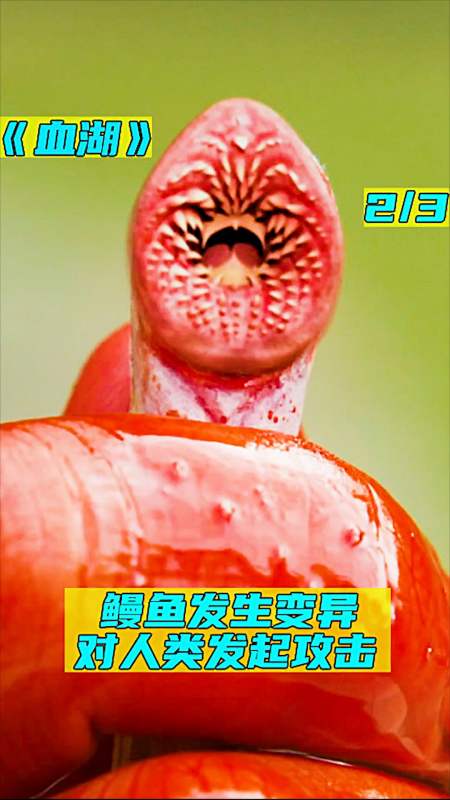 好看电影推荐,感谢官方让我上热门#鳗鱼成精,开始吃起了人类-度小视