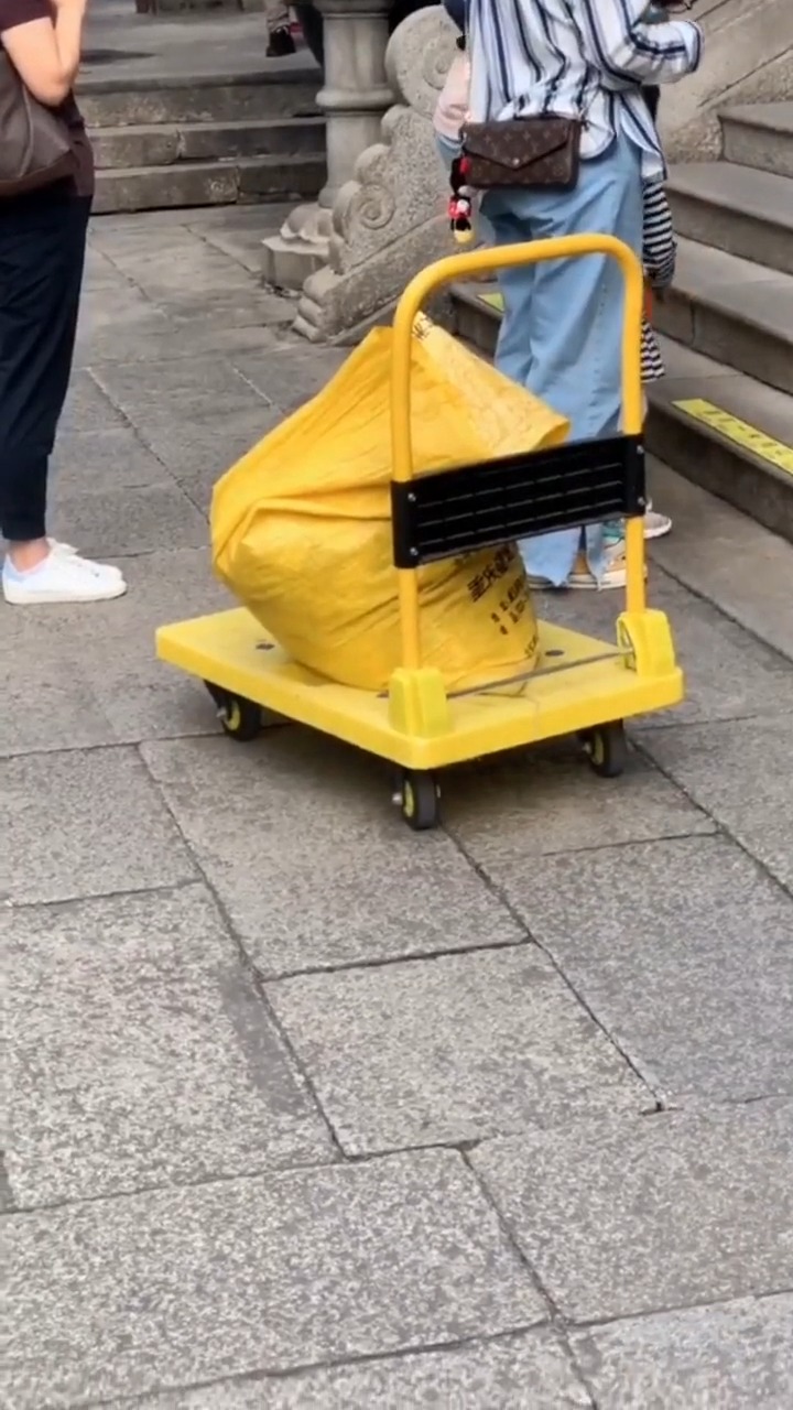 搞笑视频#把"细软"用麻袋装的时候,一瞬间,我的心中充满了无限的读Ζ