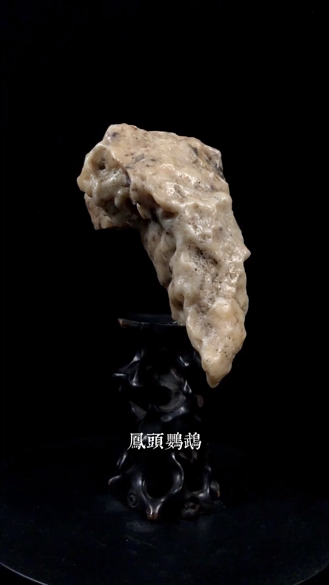 天然奇石#《凤头鹦鹉》戈壁象形石