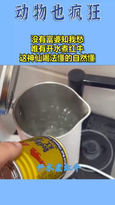 我要上热门#没有富婆知我愁,唯有开水煮红牛,这神仙喝法懂的自然懂