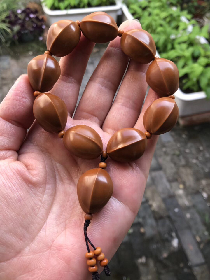 8*2.3铁核鲨鱼背