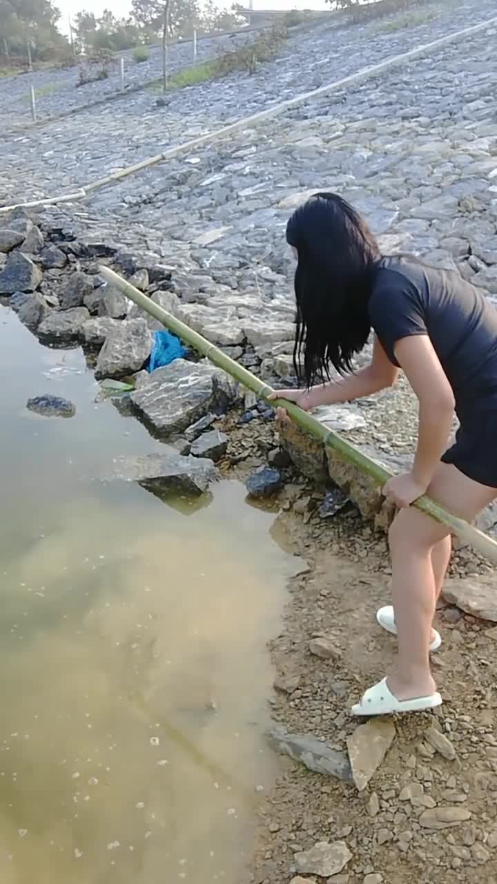 户外抓鱼#仔细看,鱼被几棍子给敲懵了!