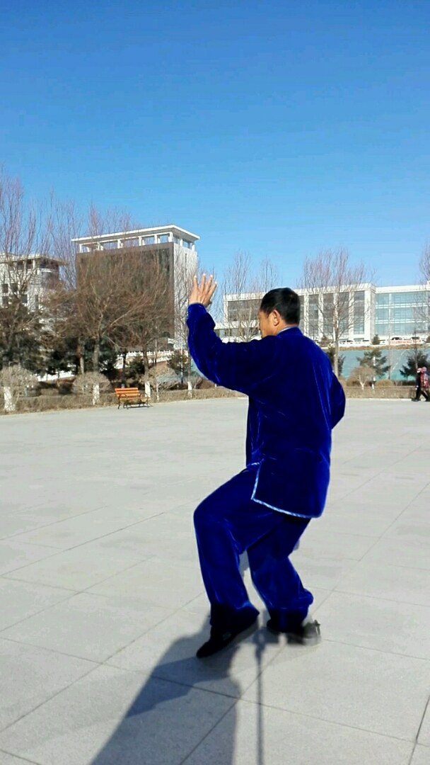 左右蹬脚.掩手肱捶