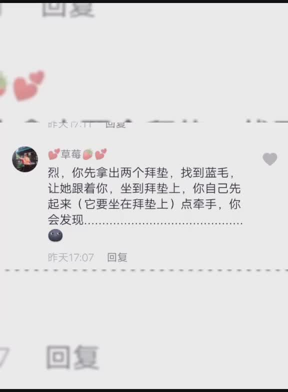 elite团队樱校葬爱明天还是好姐妹烈同学