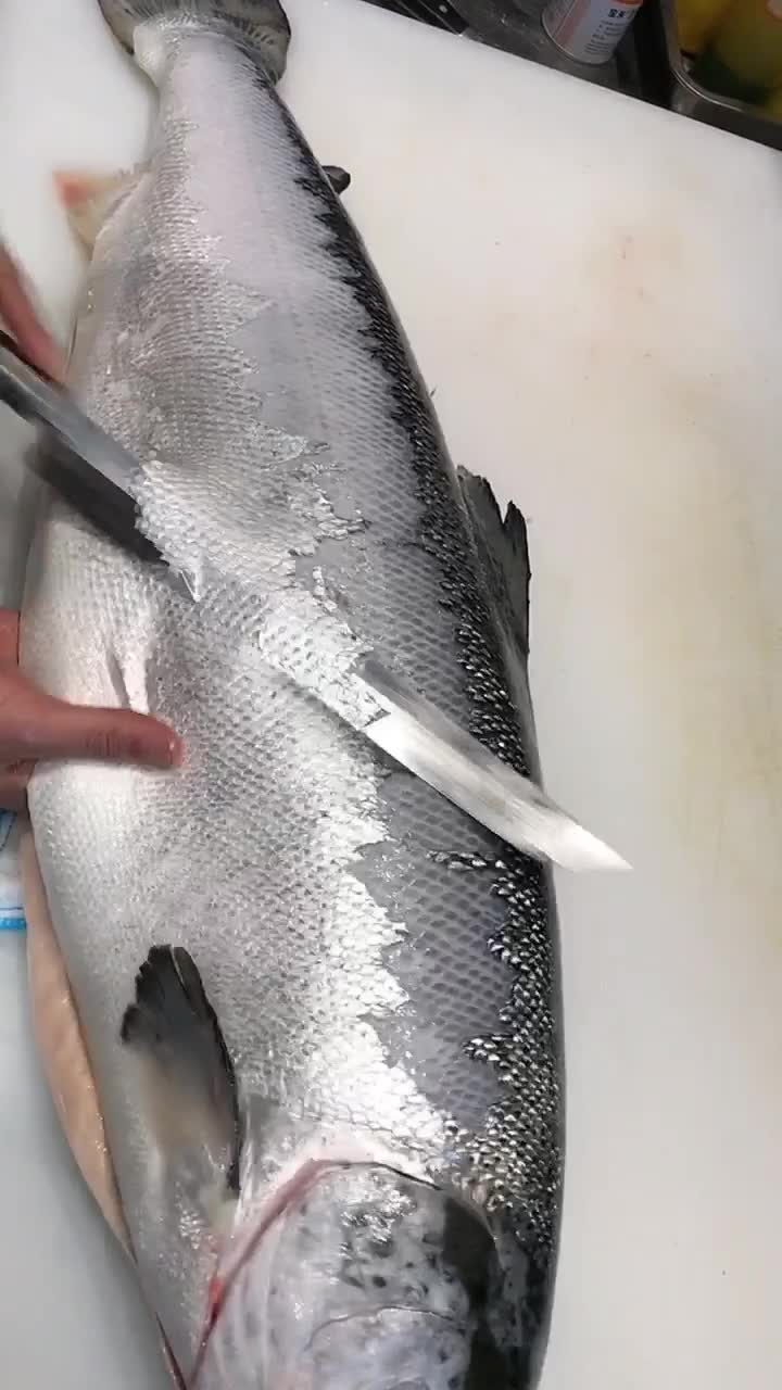 三文鱼去鳞,大家觉得这个手法怎么样呢