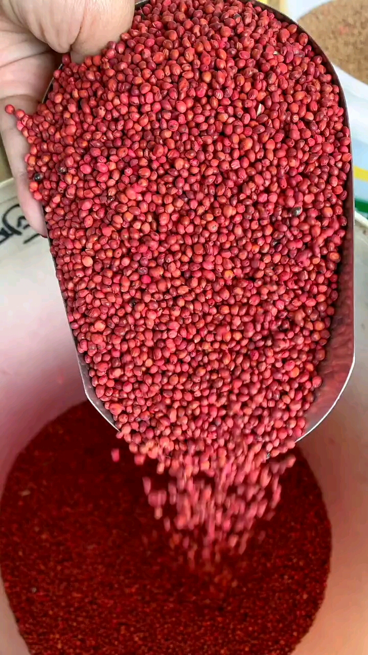 牧草之王,大力士甜高粱,亩产42吨,可养200只羊,50头牛97-度小视