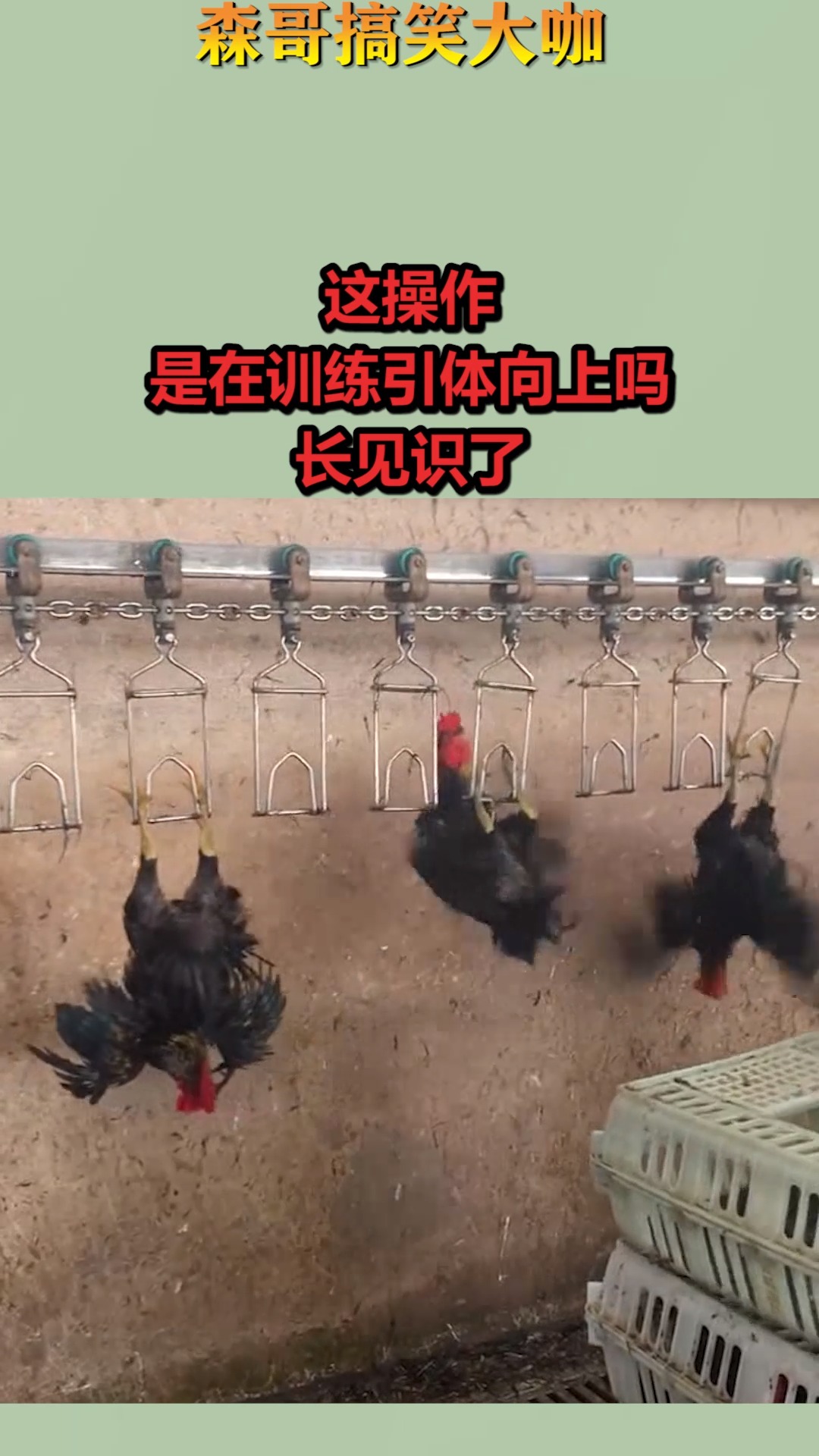 搞笑视频#这操作,是在训练引体向上吗,长见识了