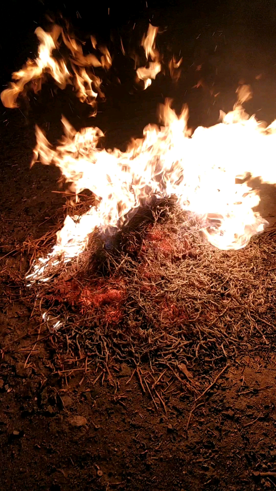 欢乐幸福年#新年笼旺火,烤烤身体,祛一年晦气,新的一年顺顺利利,有