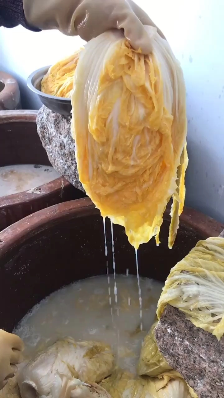 东北酸菜#东北大缸腌制酸菜就是这么牛
