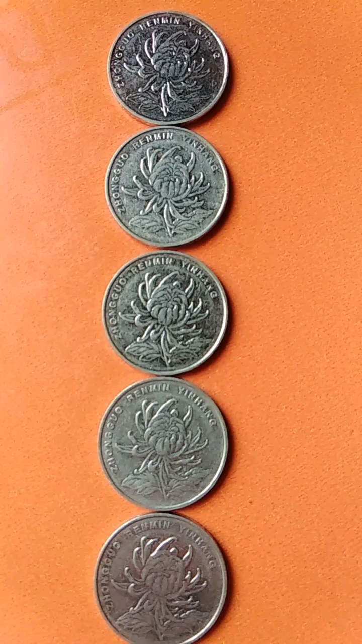 已经升值的菊花1元硬币