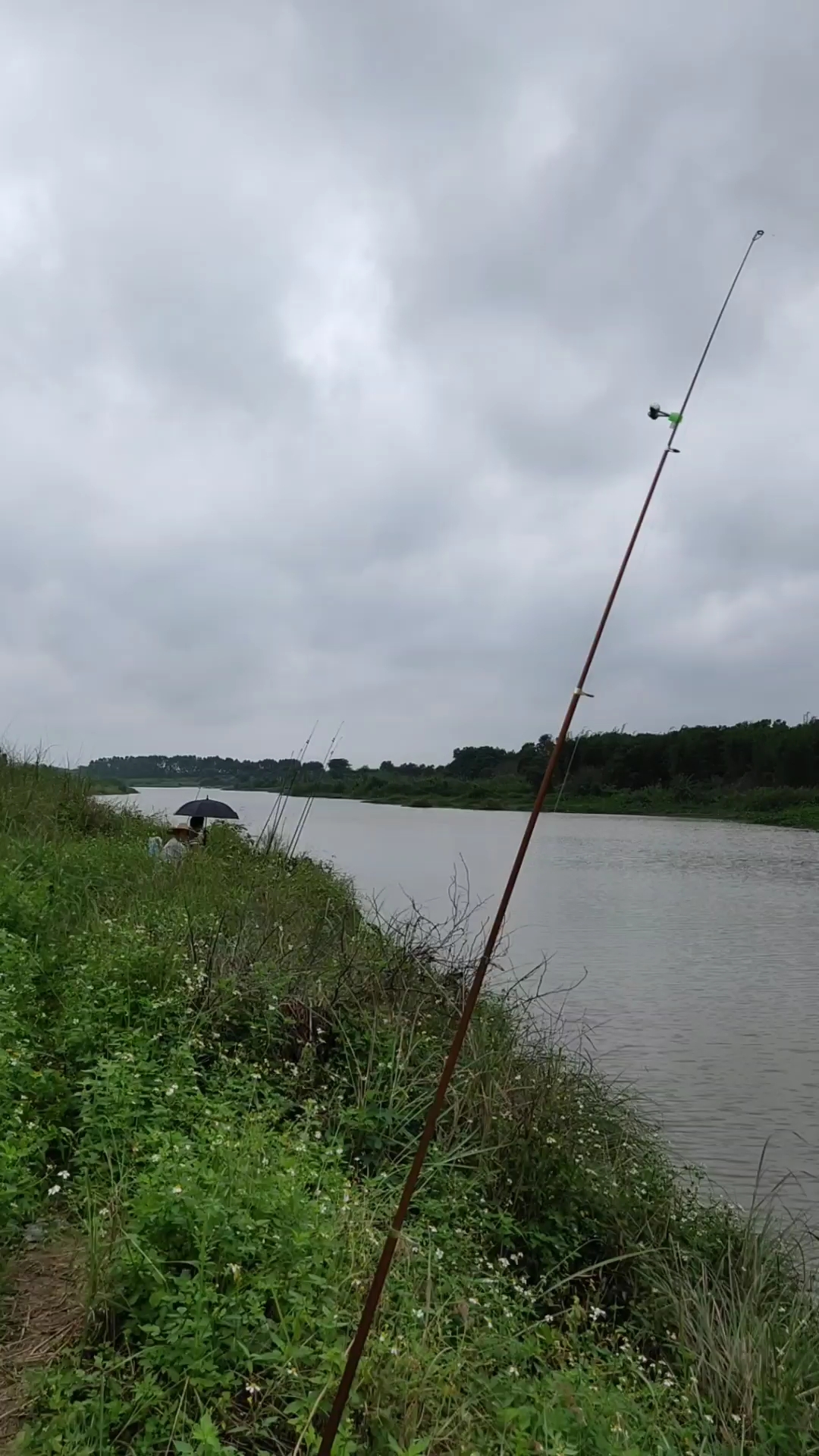 上班累了又到河边钓钓鱼.