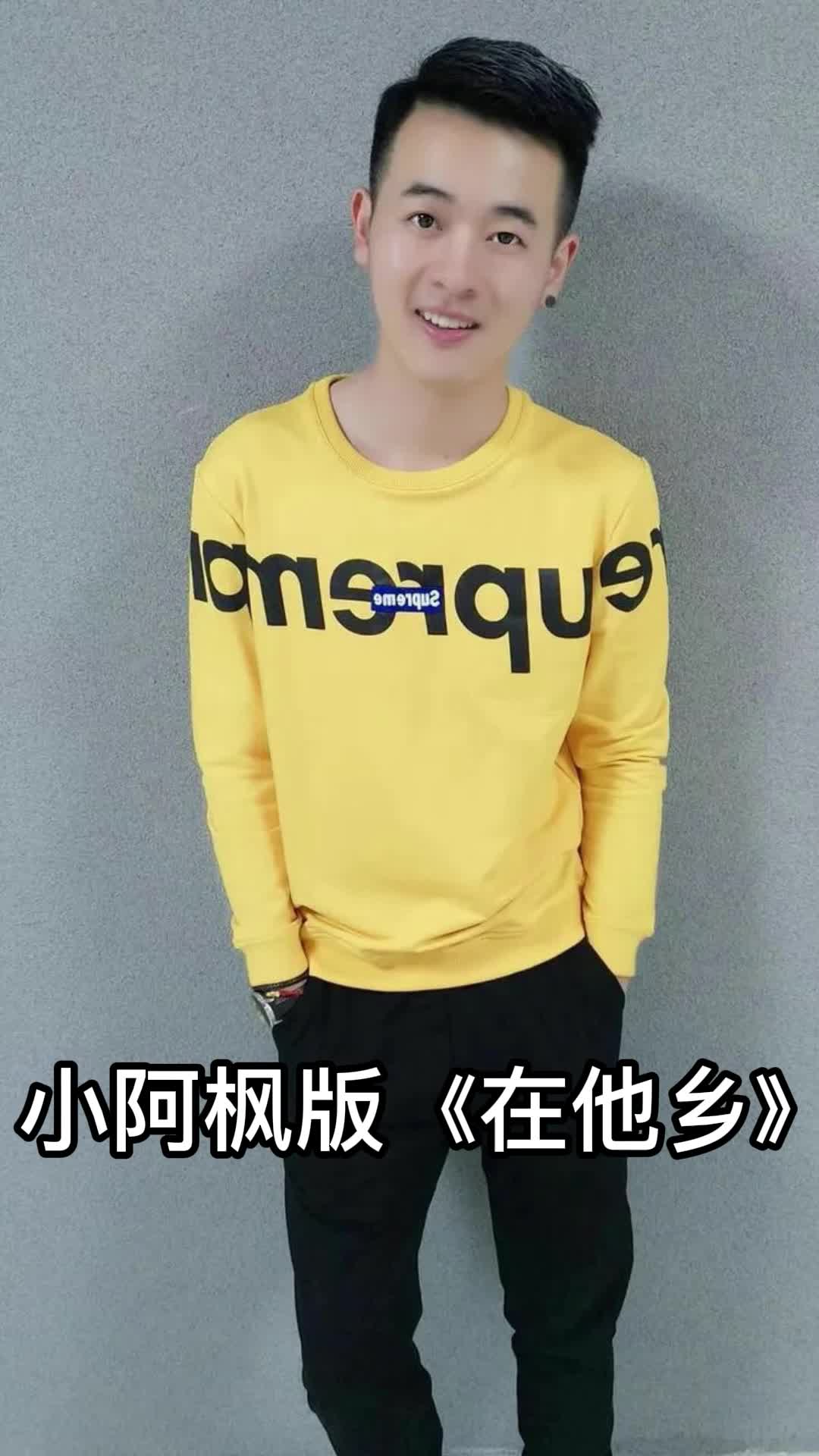 小阿枫版在他乡带大家来欣赏这首歌