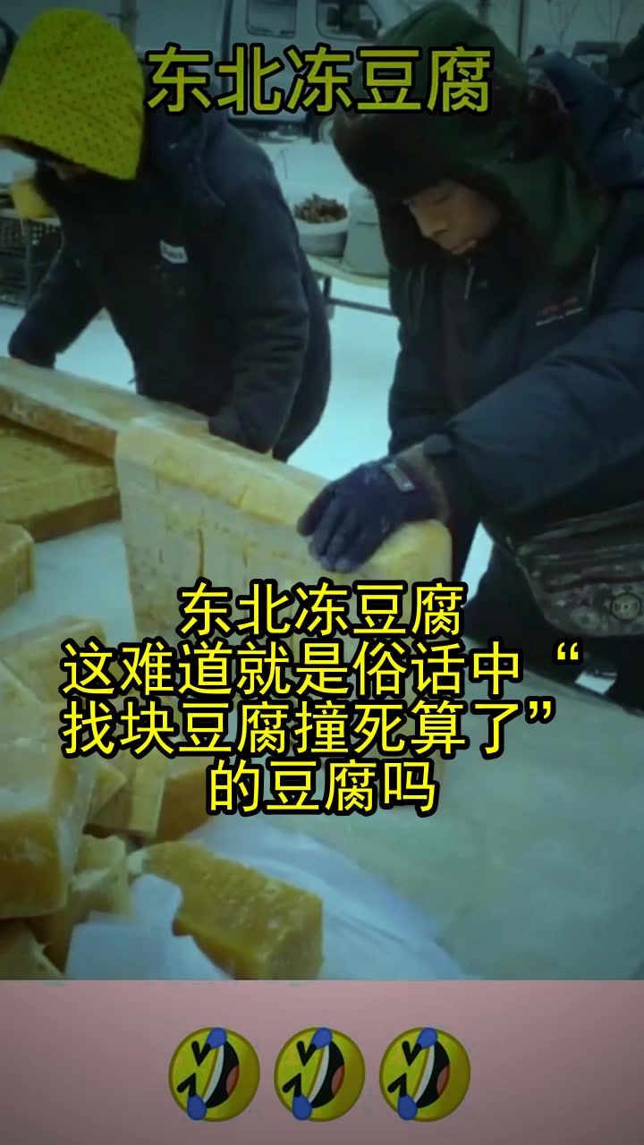 东北冻豆腐,这难道就是俗话中"找块豆腐撞死算了"的豆腐吗?