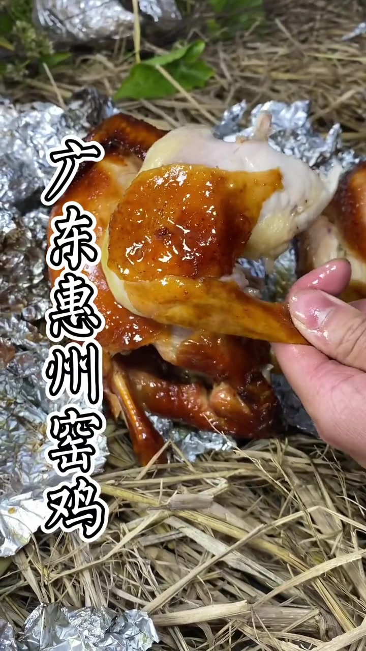大师又出场了教你做窑鸡广东特色乡村美食好多农村人靠它发达的