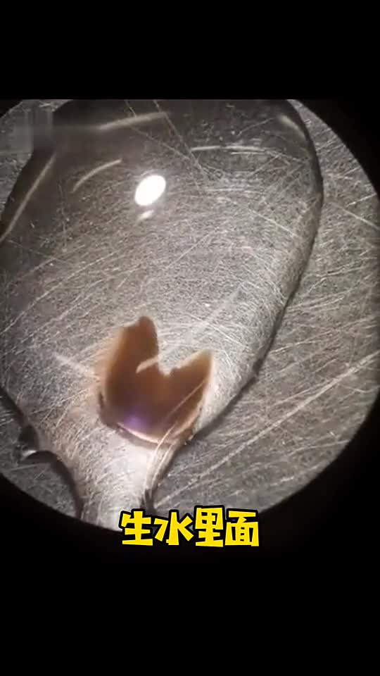 生物课,高倍显微镜下的一滴生水,所以我们总结出了____?
