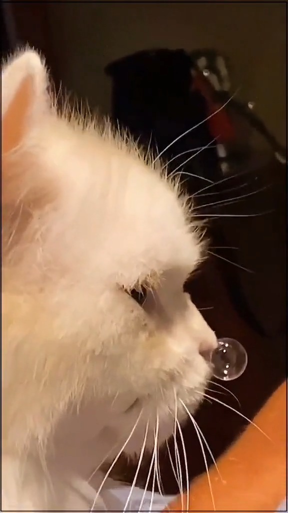 搞笑视频#笑你有鼻涕泡,你还不高兴了