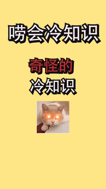 每天一点冷知识#冲冲冲,我觉得我有个不成熟的想法