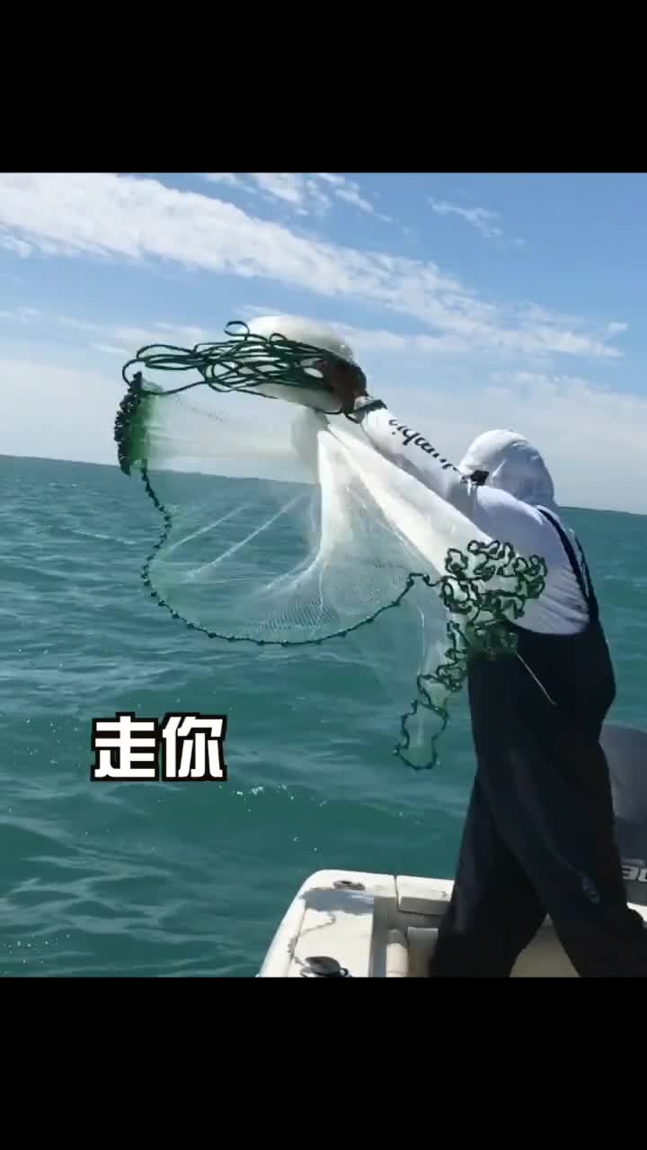 迈阿密钓到一条鲨鱼,一群人都没能拉到船边,哥们失落的表情就像失去了