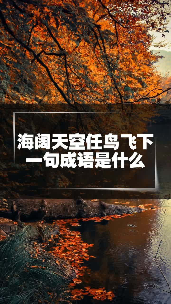 海阔天空任鸟飞下一句成语是什么