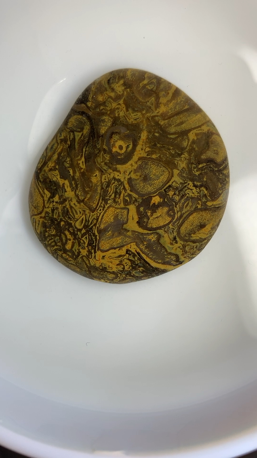 雨花石,化石也精彩