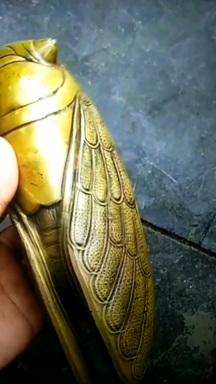 唐门暗器,蝉翼刀!