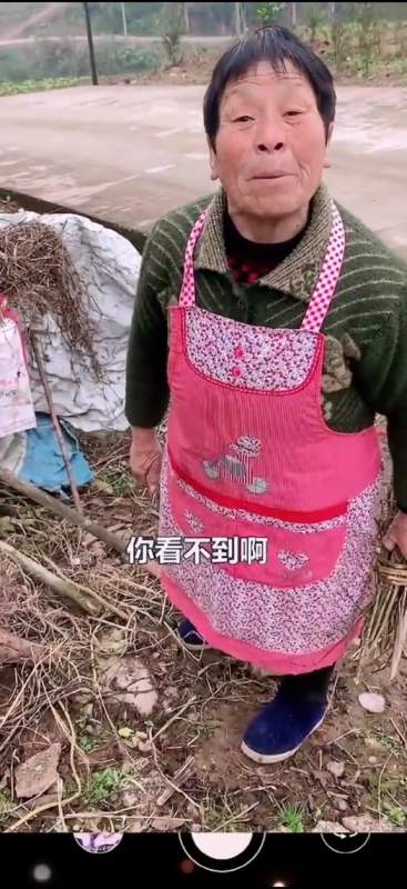 面子比什么都重要,袁婆上当了吧