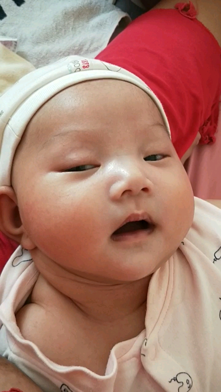 表白女神#72天的小胖胖