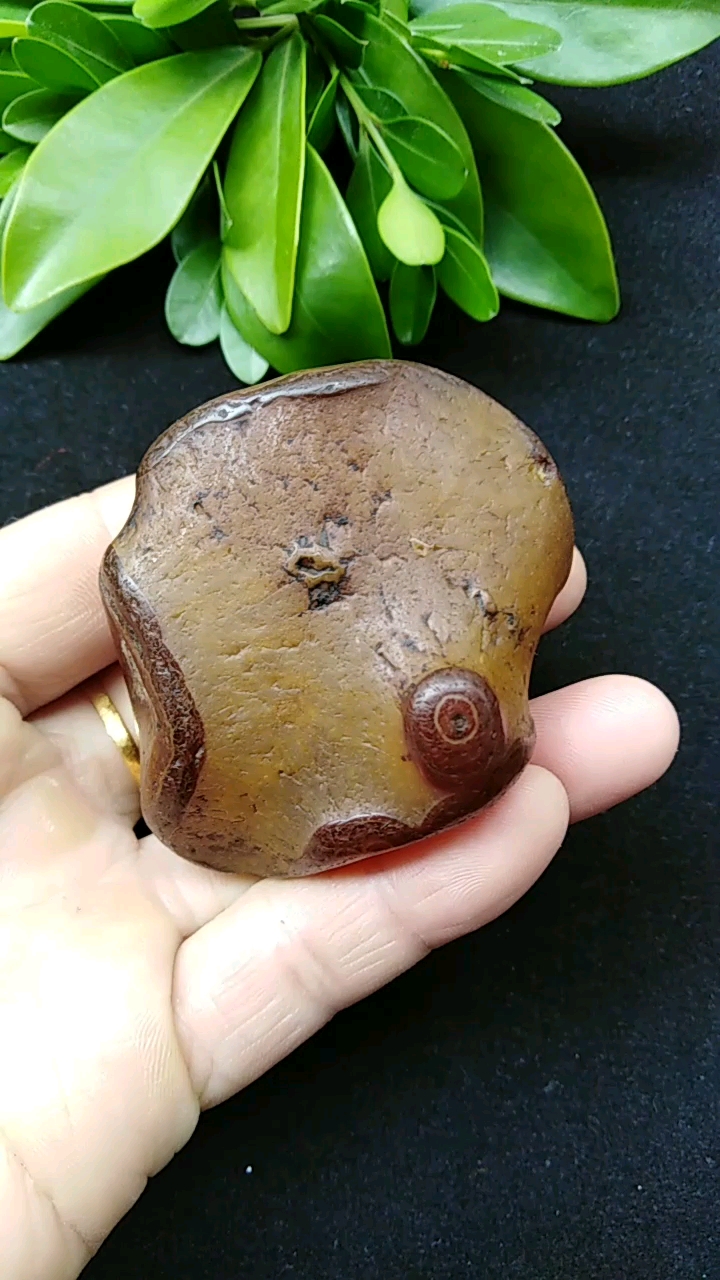 玛瑙,奇石,《狐狸》