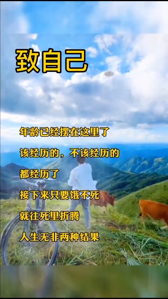 全力以赴我们心中的梦,不经历风雨怎么见彩虹