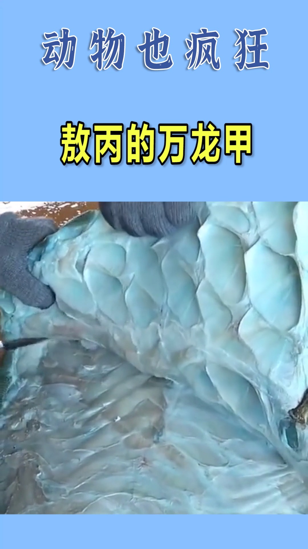 我要上热门#敖丙的万龙甲?