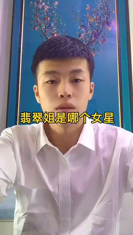 典雅翡翠姐图片